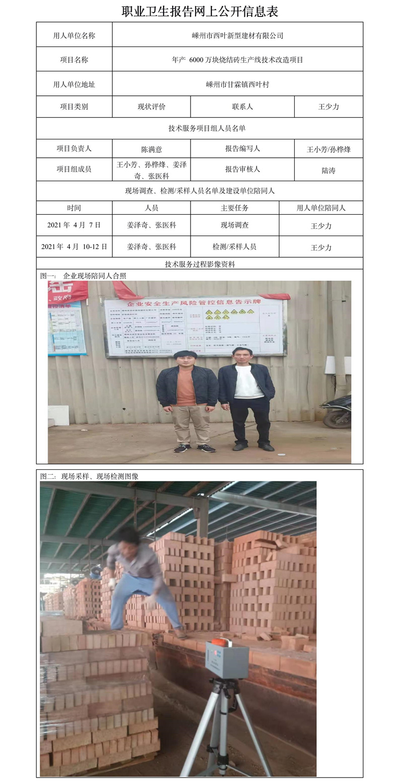 嵊州西葉新型建材有限公司職業(yè)衛(wèi)生報(bào)告網(wǎng)上公開(kāi)信息表.jpg